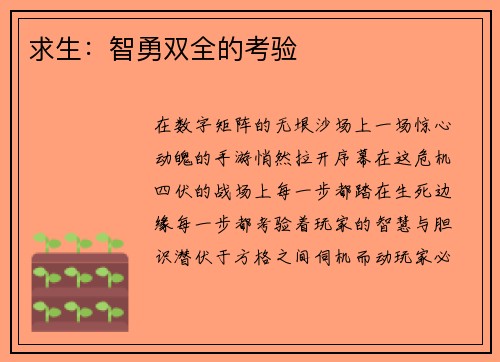 求生：智勇双全的考验
