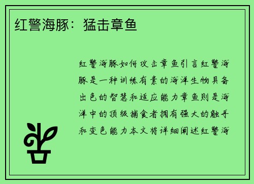 红警海豚：猛击章鱼